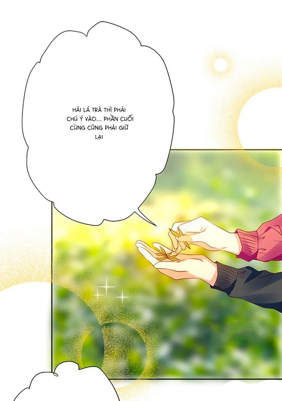 Bạn Trai Là Ngôi Sao Chapter 71 - 39