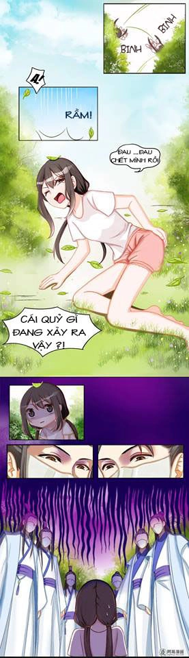 Phác Đảo Sư Tôn Đại Nhân Chapter 1 - 15