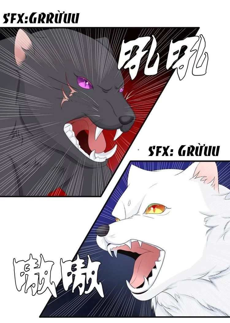 Phác Đảo Sư Tôn Đại Nhân Chapter 10 - 19