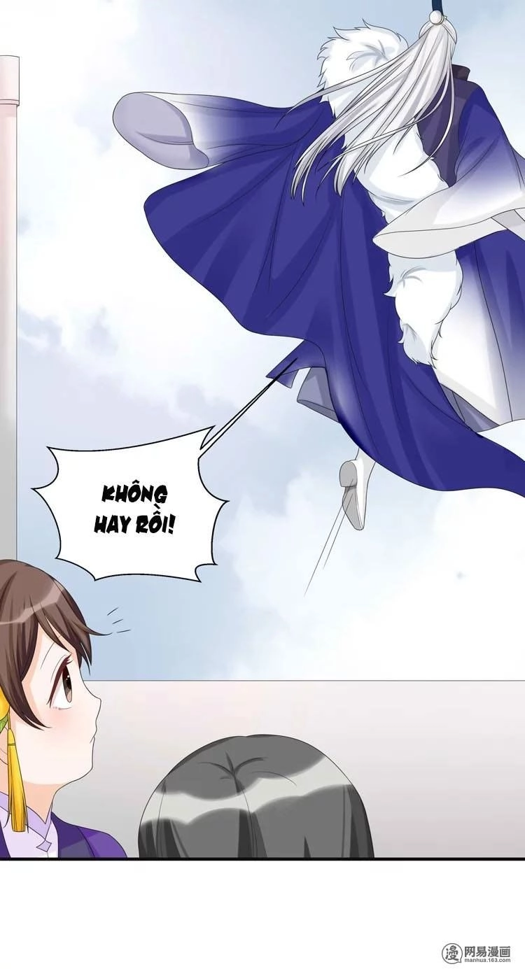 Phác Đảo Sư Tôn Đại Nhân Chapter 13 - 13