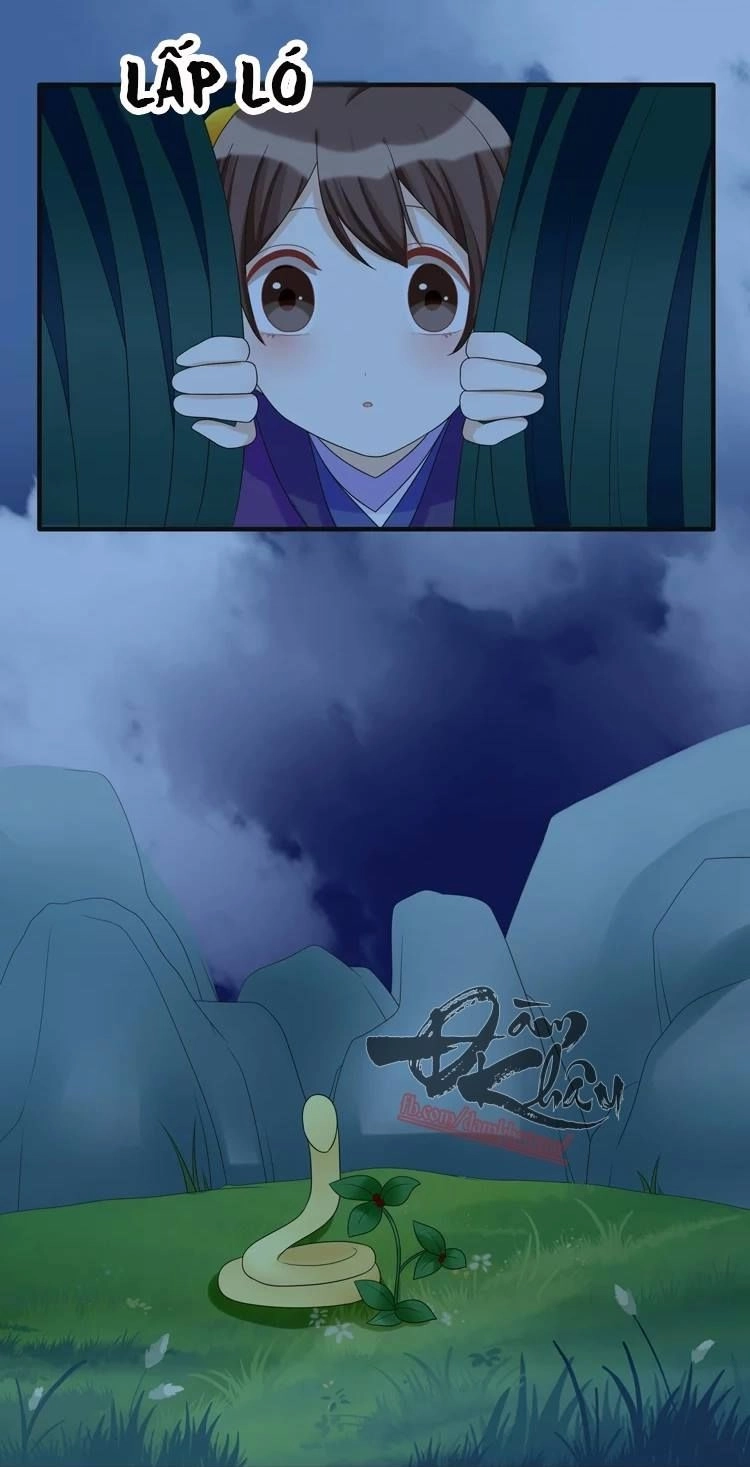 Phác Đảo Sư Tôn Đại Nhân Chapter 15 - 20