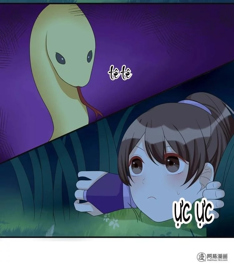 Phác Đảo Sư Tôn Đại Nhân Chapter 15 - 21