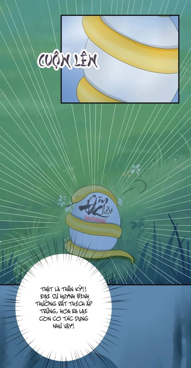 Phác Đảo Sư Tôn Đại Nhân Chapter 16 - 6