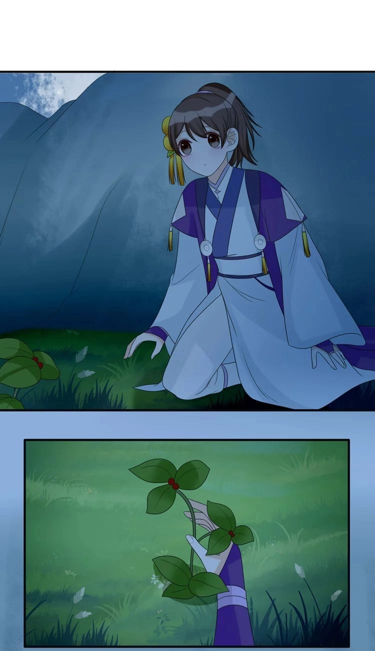 Phác Đảo Sư Tôn Đại Nhân Chapter 16 - 8