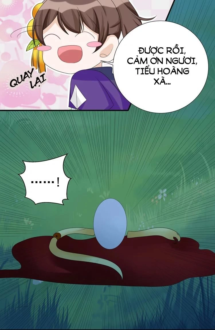 Phác Đảo Sư Tôn Đại Nhân Chapter 16 - 10