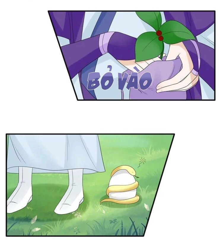 Phác Đảo Sư Tôn Đại Nhân Chapter 17 - 22