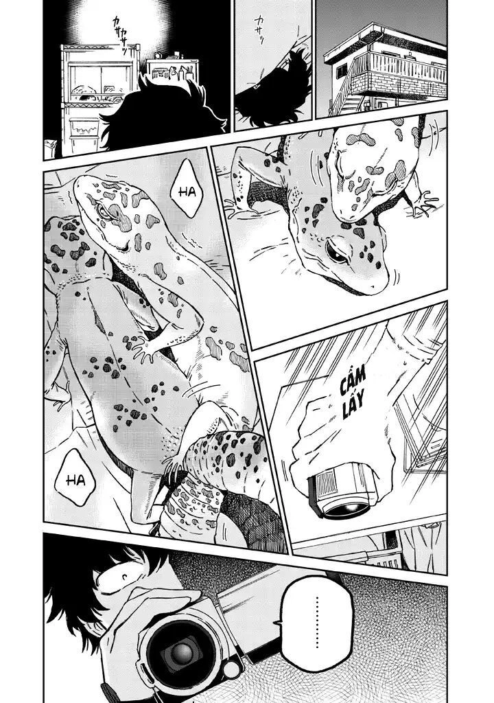 Madonna Ga Glass Case No Na Chapter 1 - 1