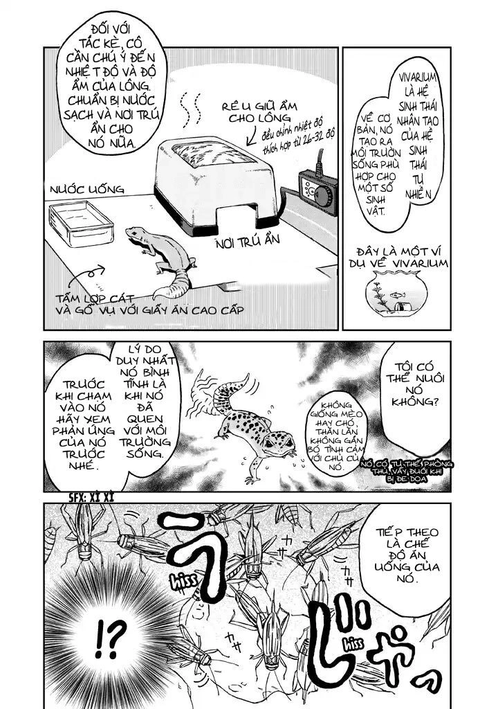 Madonna Ga Glass Case No Na Chapter 1 - 9