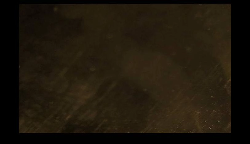 Shriek-2 Chapter 10 - 1