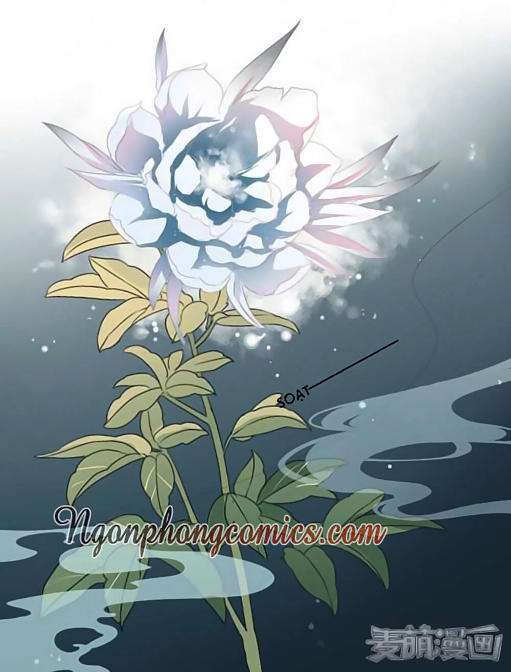 Quy Tự Dao Chapter 16 - 25