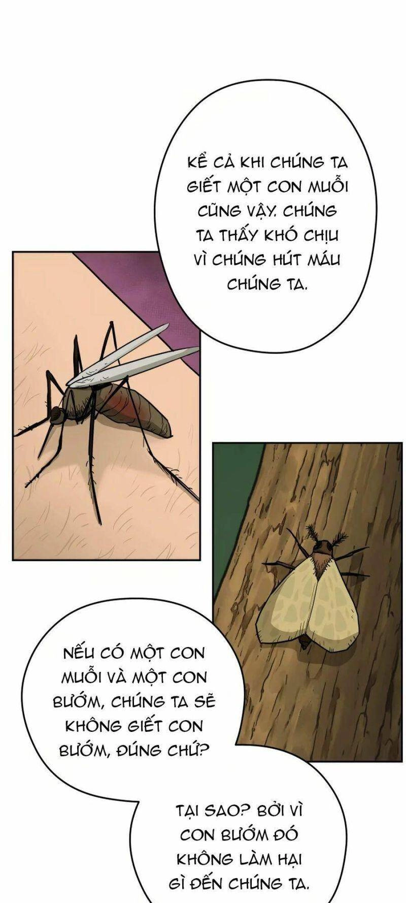 Thái Thú Kang Jin Lee Chapter 24 - 30