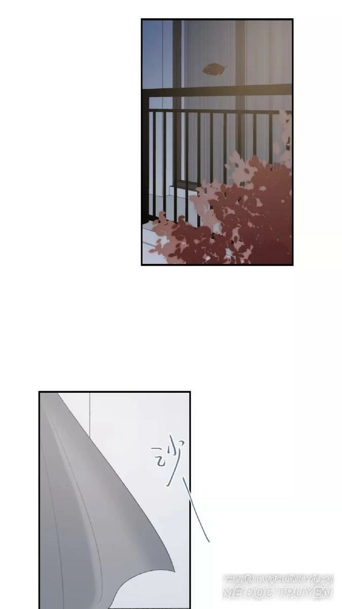 Từ Cái Nhìn Của Em Chapter 37 - 36