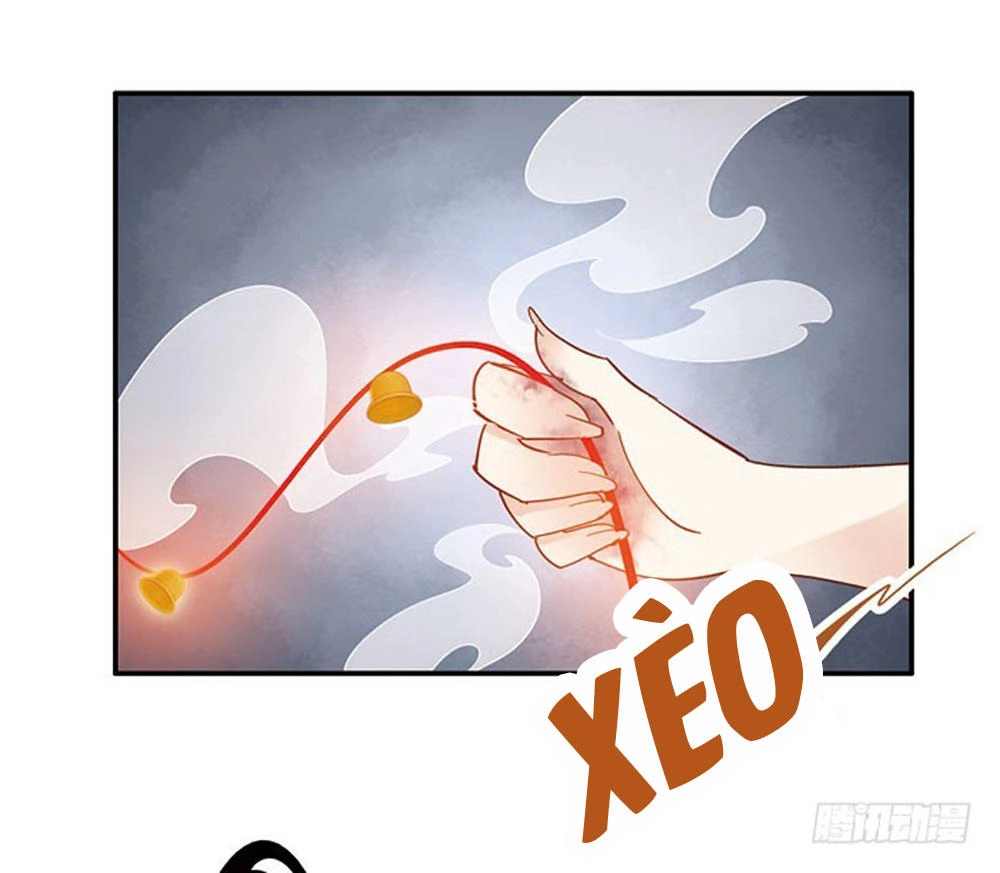 Thiền Tâm Vấn Đạo Chapter 21 - 55