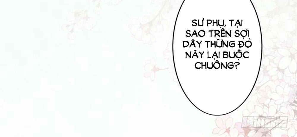 Thiền Tâm Vấn Đạo Chapter 23 - 51