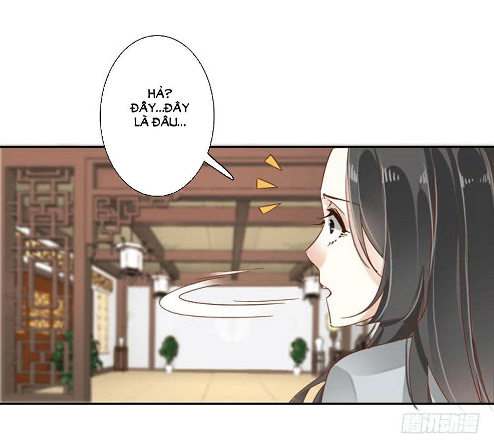 Thiền Tâm Vấn Đạo Chapter 33 - 47