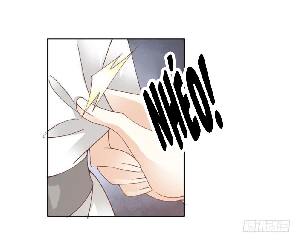 Thiền Tâm Vấn Đạo Chapter 44 - 23