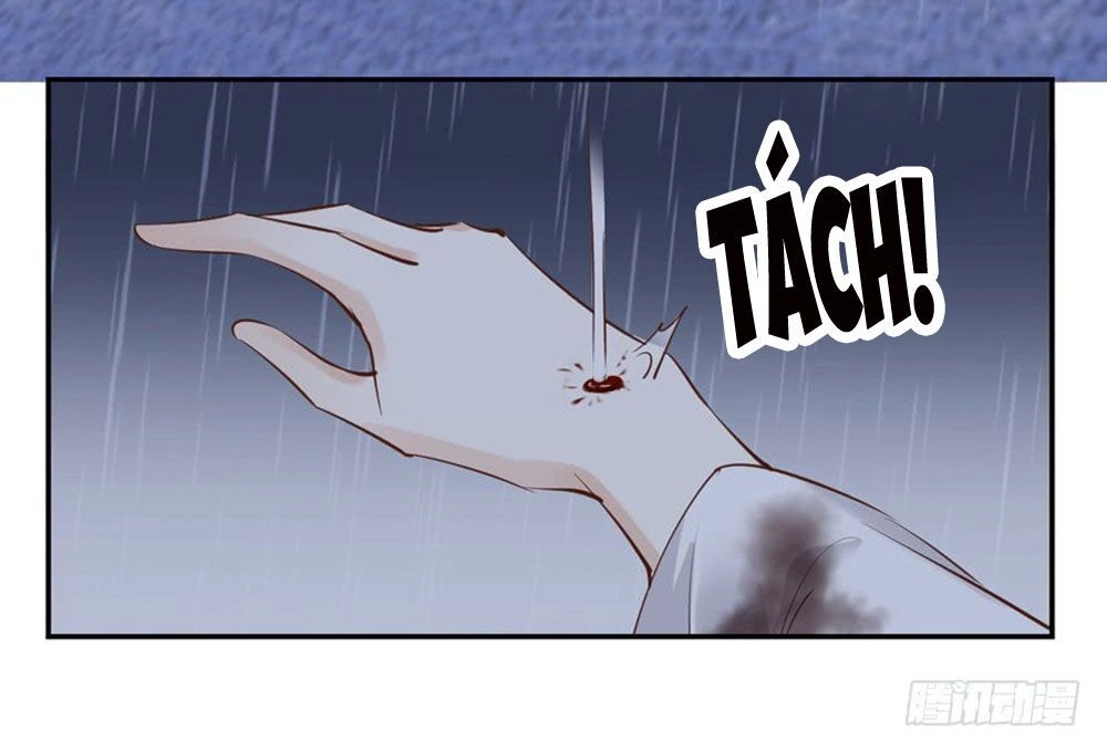 Thiền Tâm Vấn Đạo Chapter 64 - 23