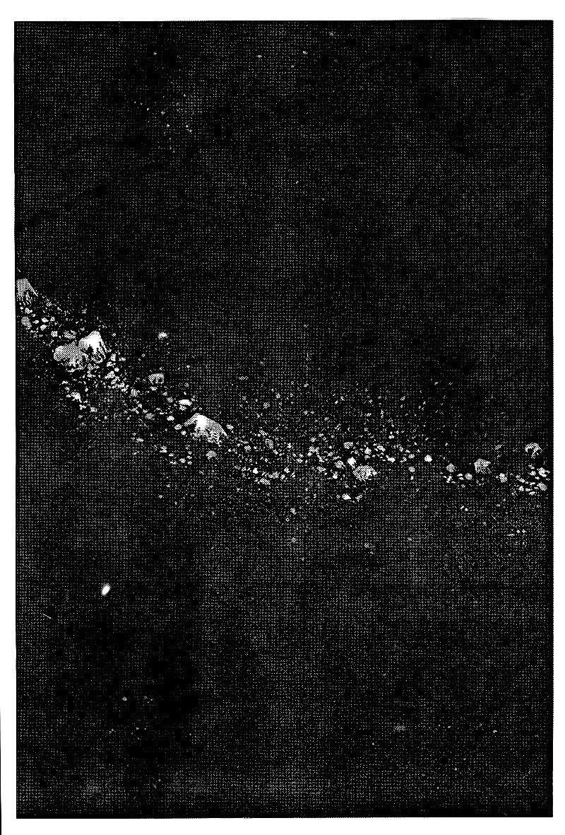 Rai - Võ Tướng Thiên Hà Chapter 90 - 27