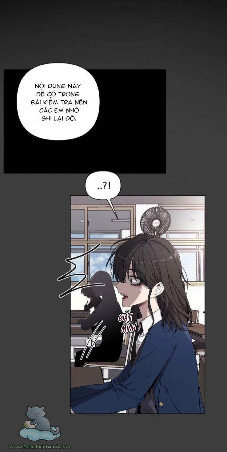 Tự Do Trong Mơ Chapter 4 - 17