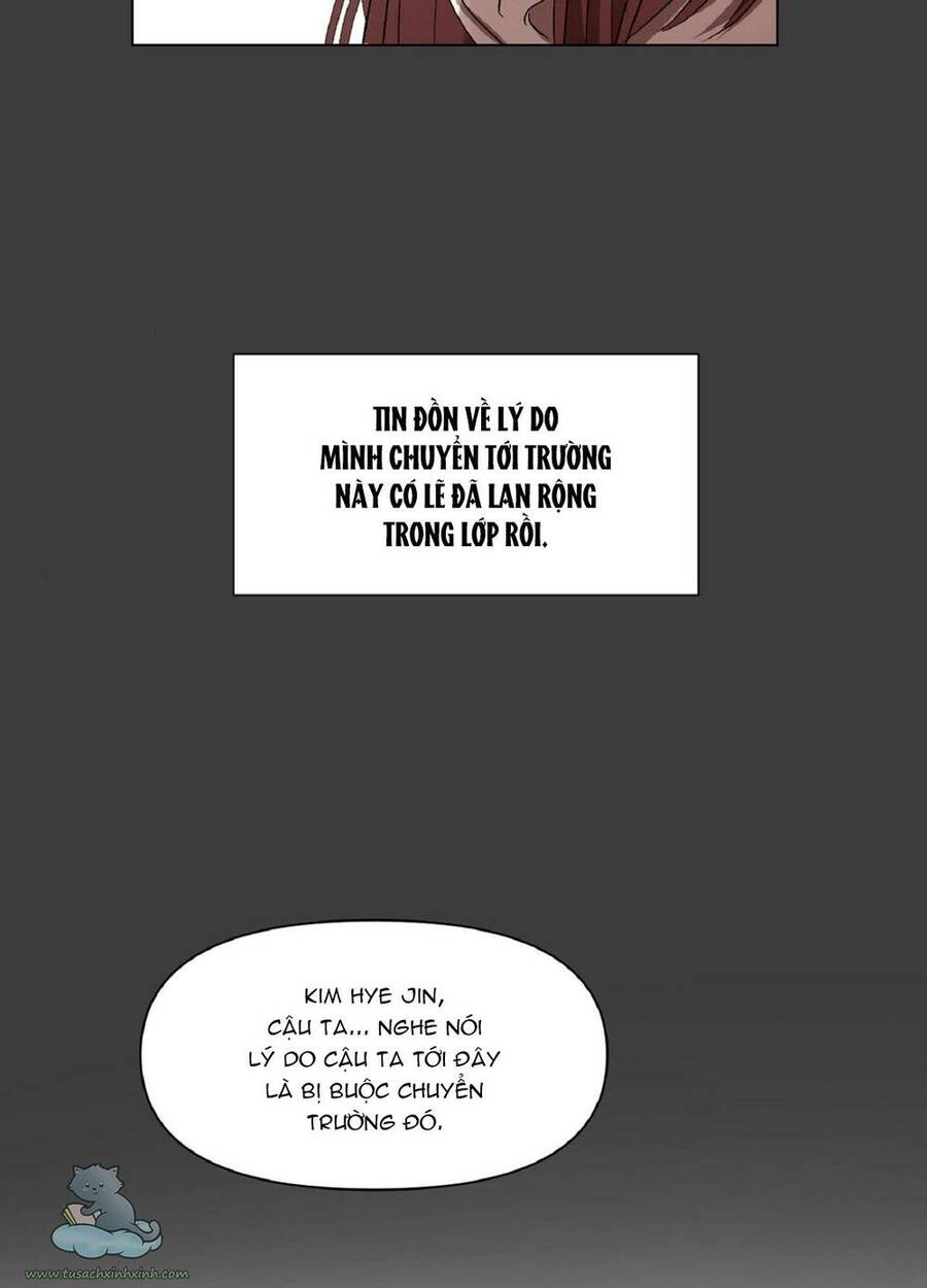 Tự Do Trong Mơ Chapter 19 - 91