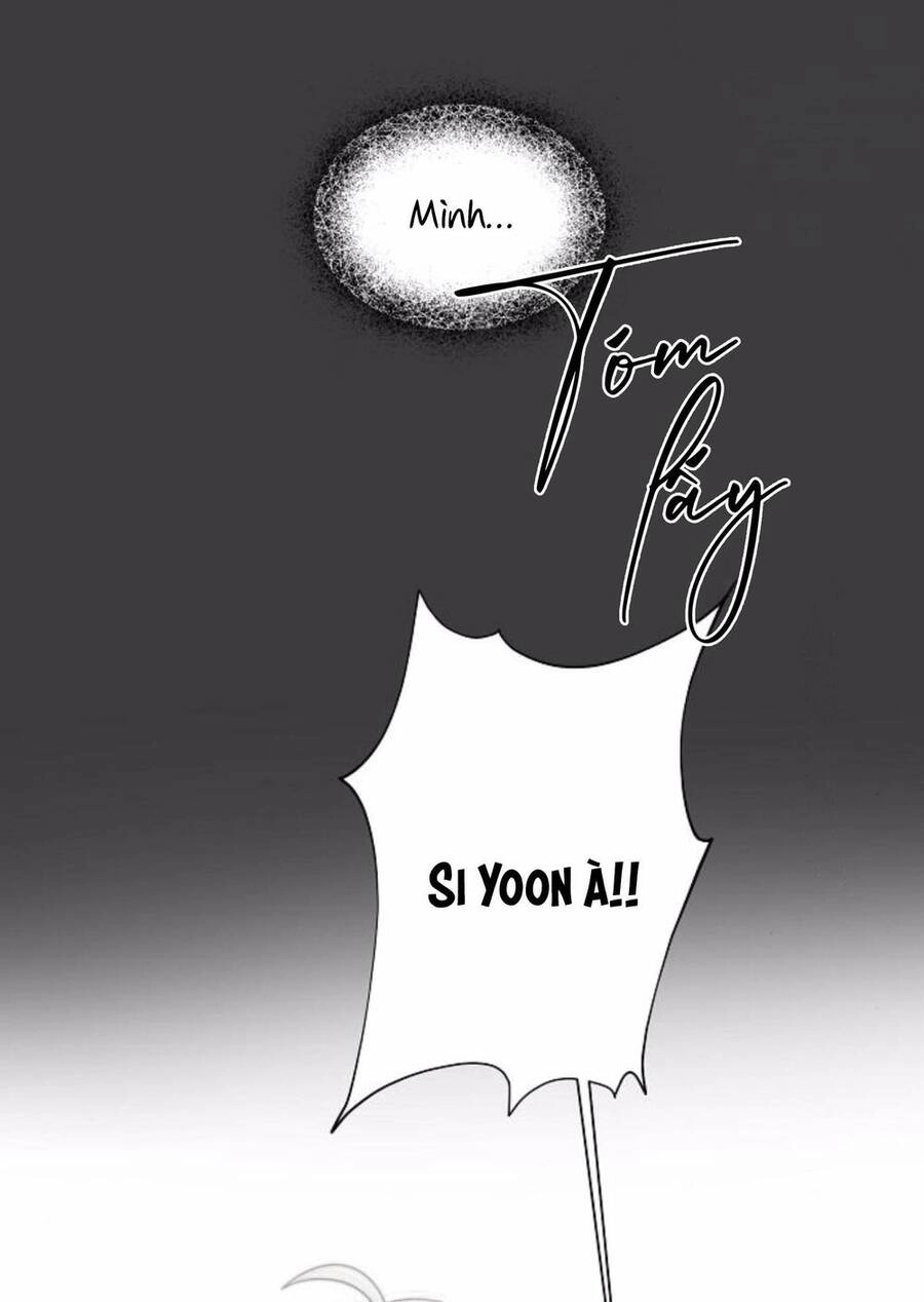 Tự Do Trong Mơ Chapter 33 - 24