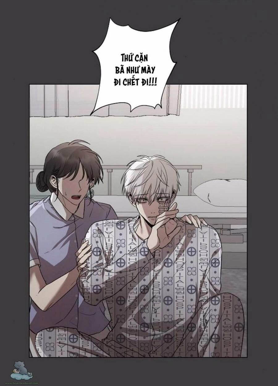 Tự Do Trong Mơ Chapter 33 - 33