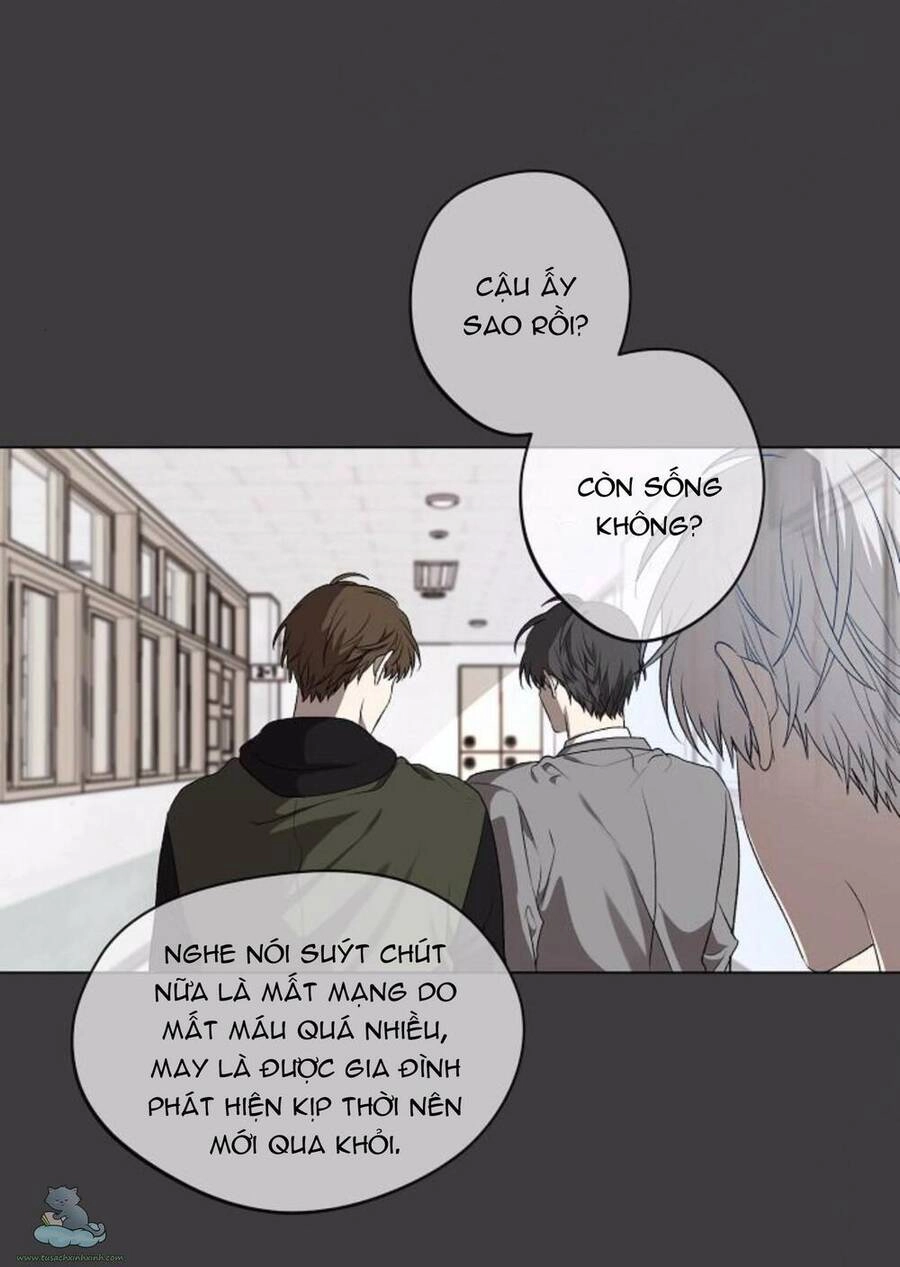 Tự Do Trong Mơ Chapter 33 - 158