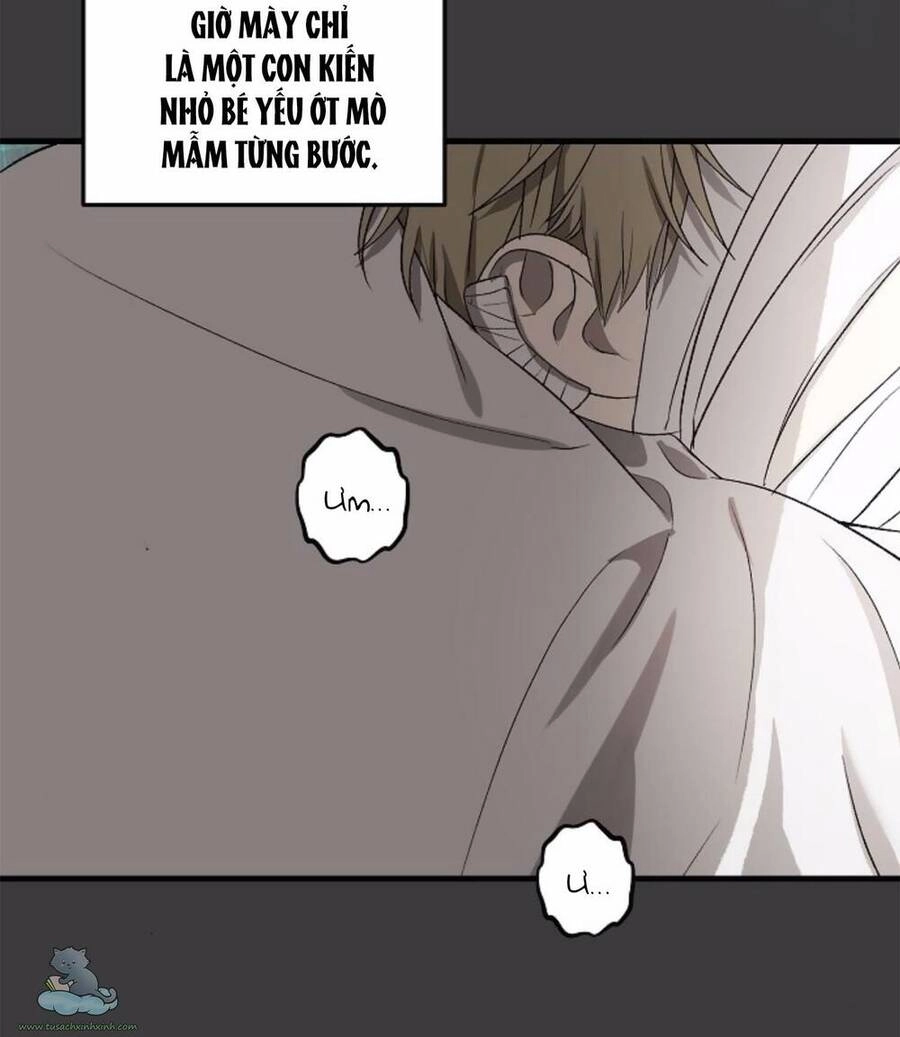 Tự Do Trong Mơ Chapter 34 - 29