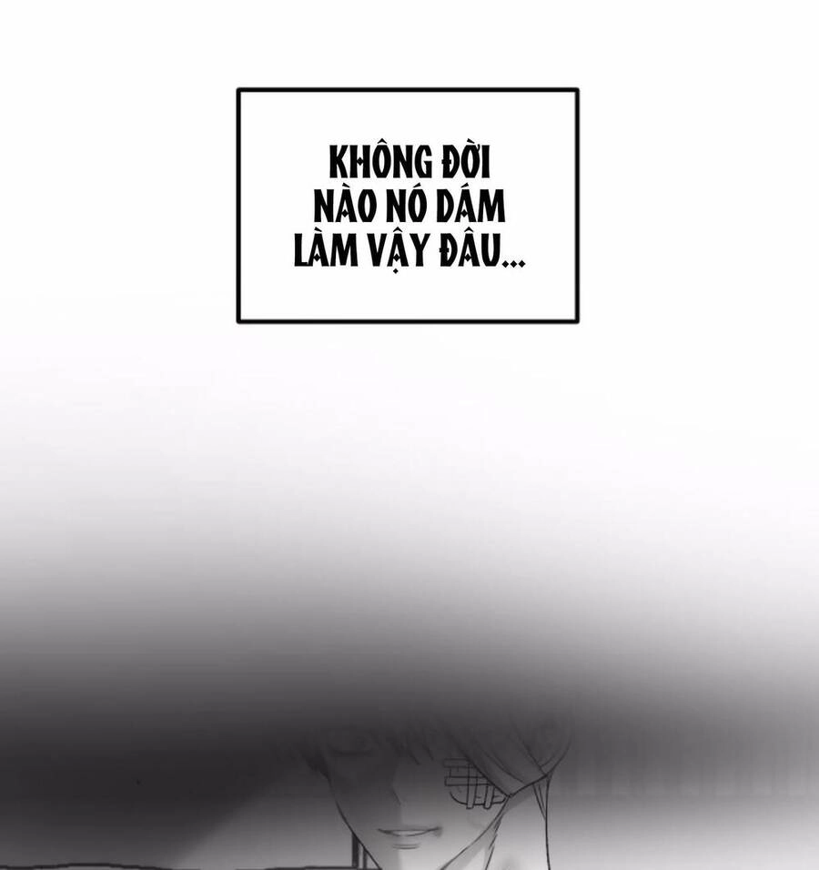 Tự Do Trong Mơ Chapter 35 - 60