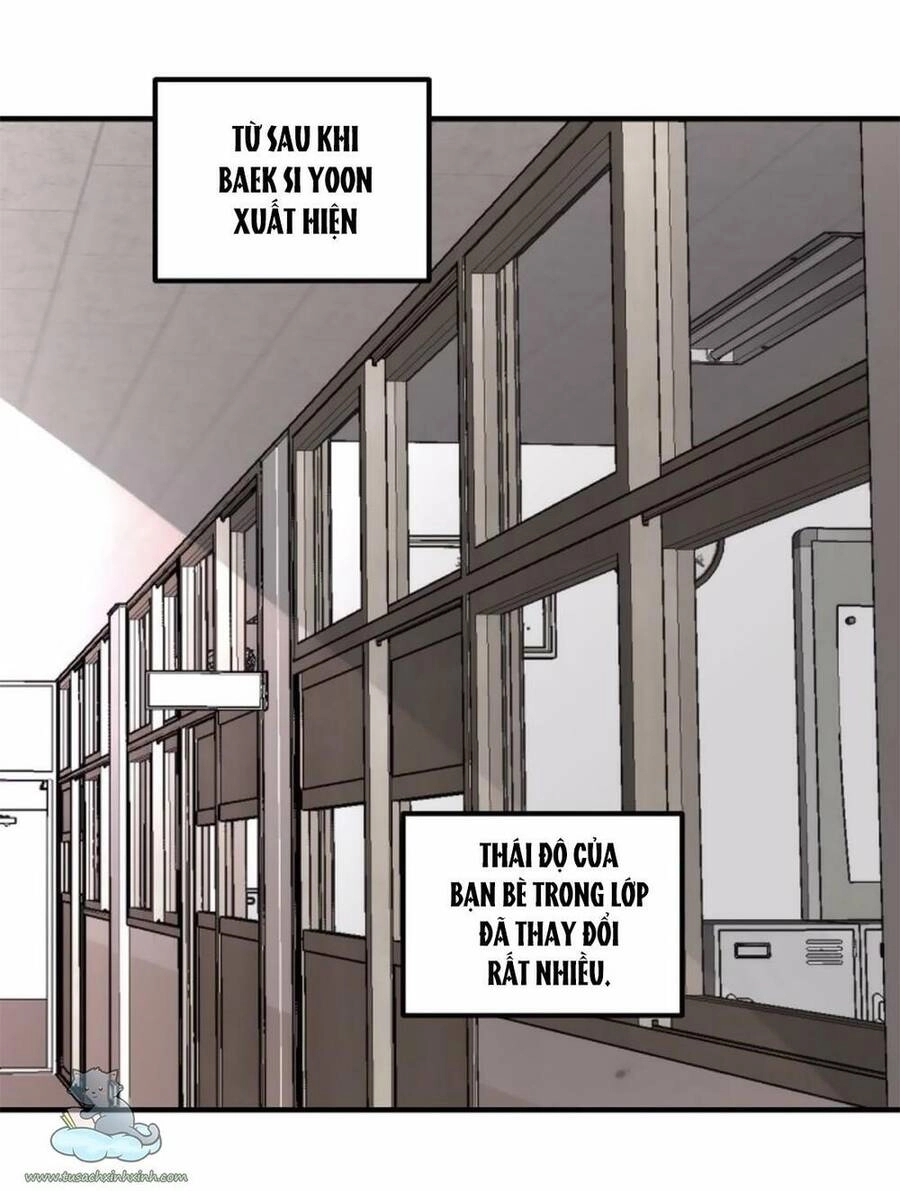 Tự Do Trong Mơ Chapter 37 - 19