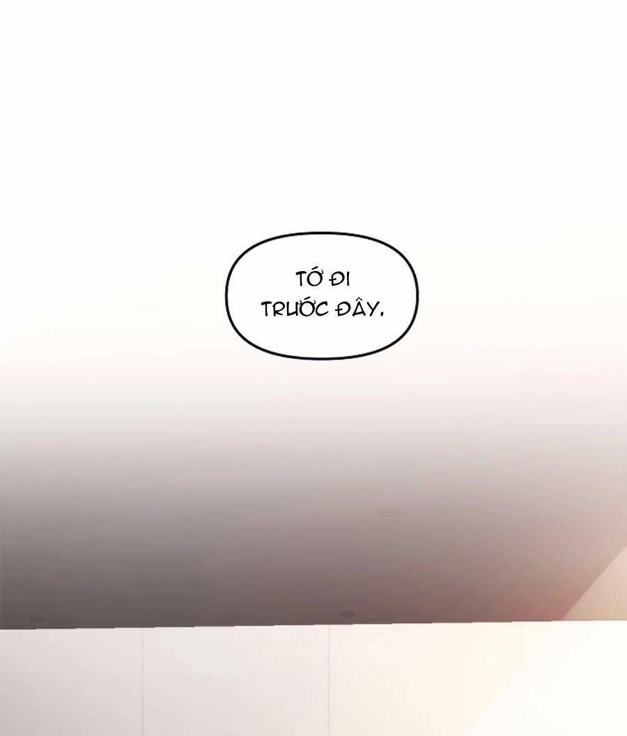 Tự Do Trong Mơ Chapter 39 - 114