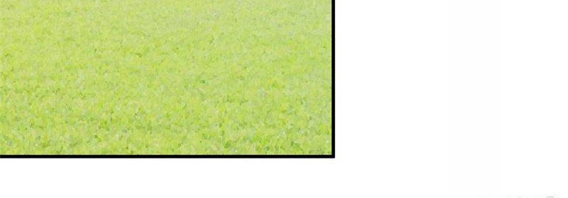 Ẩn Hôn Tân Nương Chapter 54 - 16