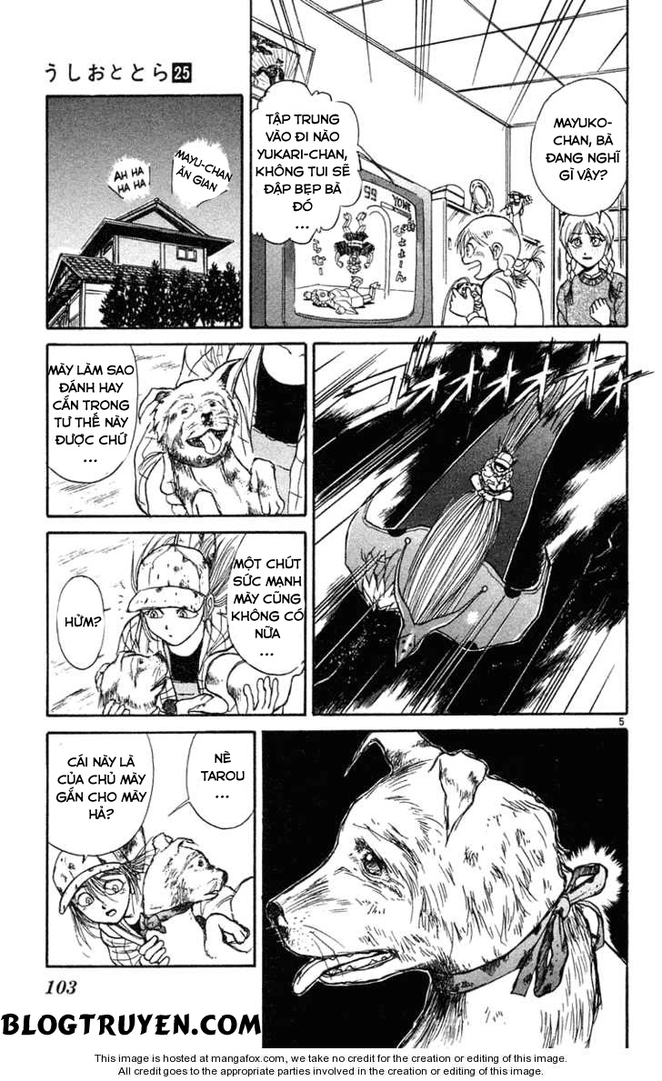 Ushio And Tora Chapter 234 - 8