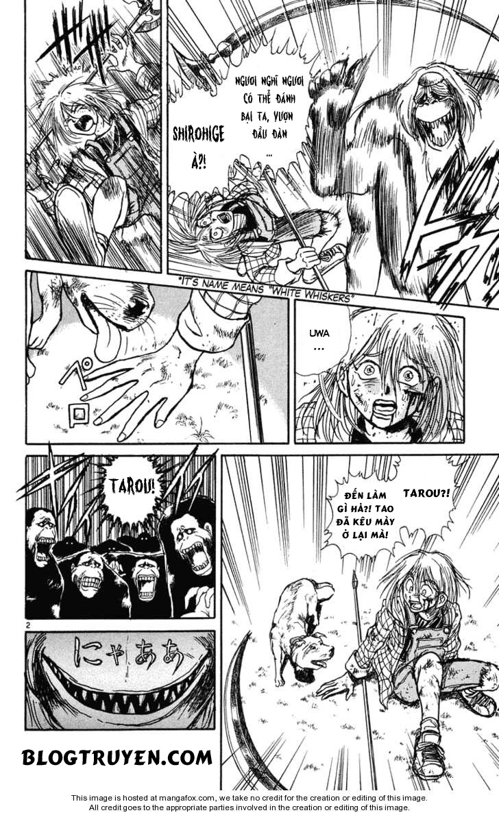 Ushio And Tora Chapter 235 - 4