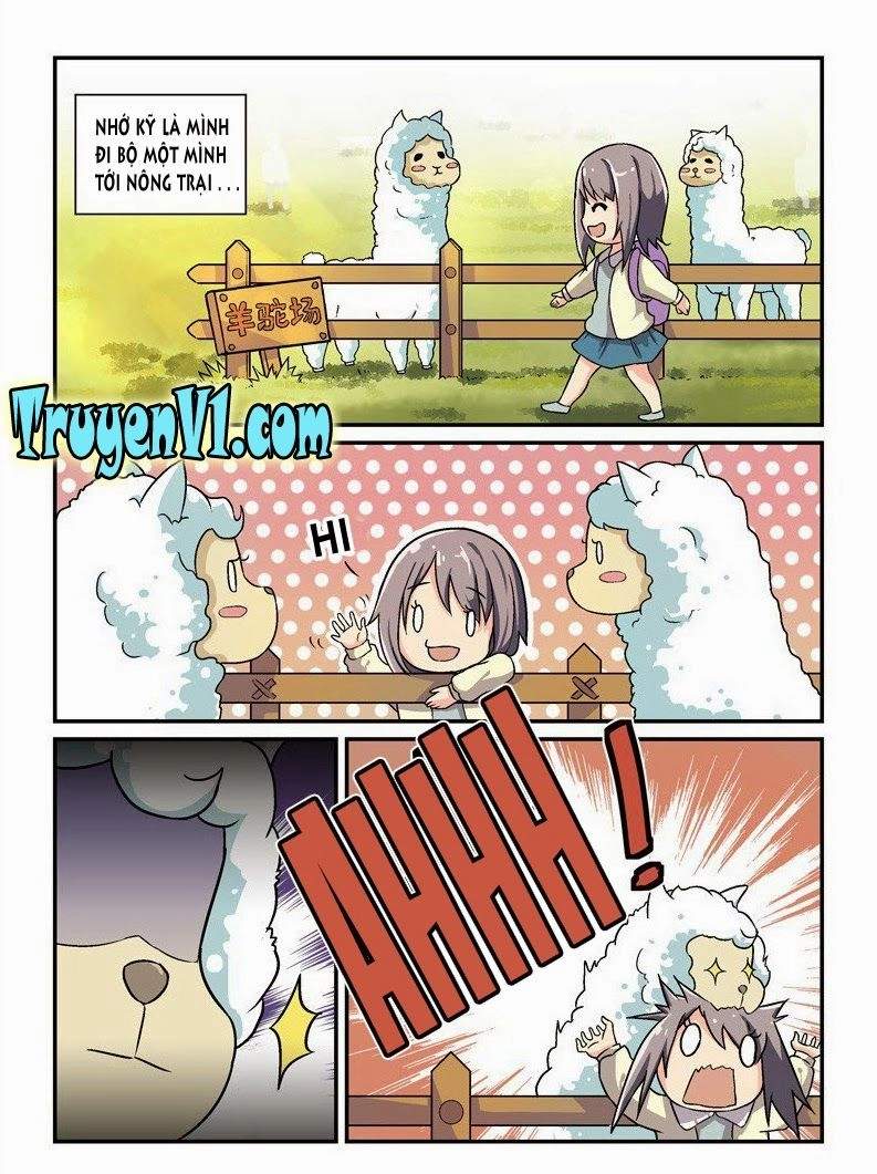 Bắt Cóc Hoàng Đế Về Hiện Đại Chapter 1 - 5