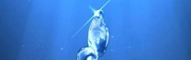 Sự Trở Lại Của Người Chơi Cấp Sss Chapter 159 - 36