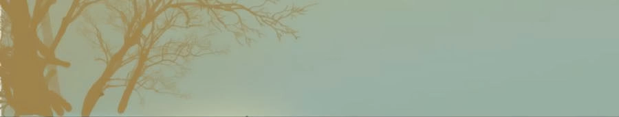 Thịnh Thế Thanh Ca Chapter 5.2 - 10