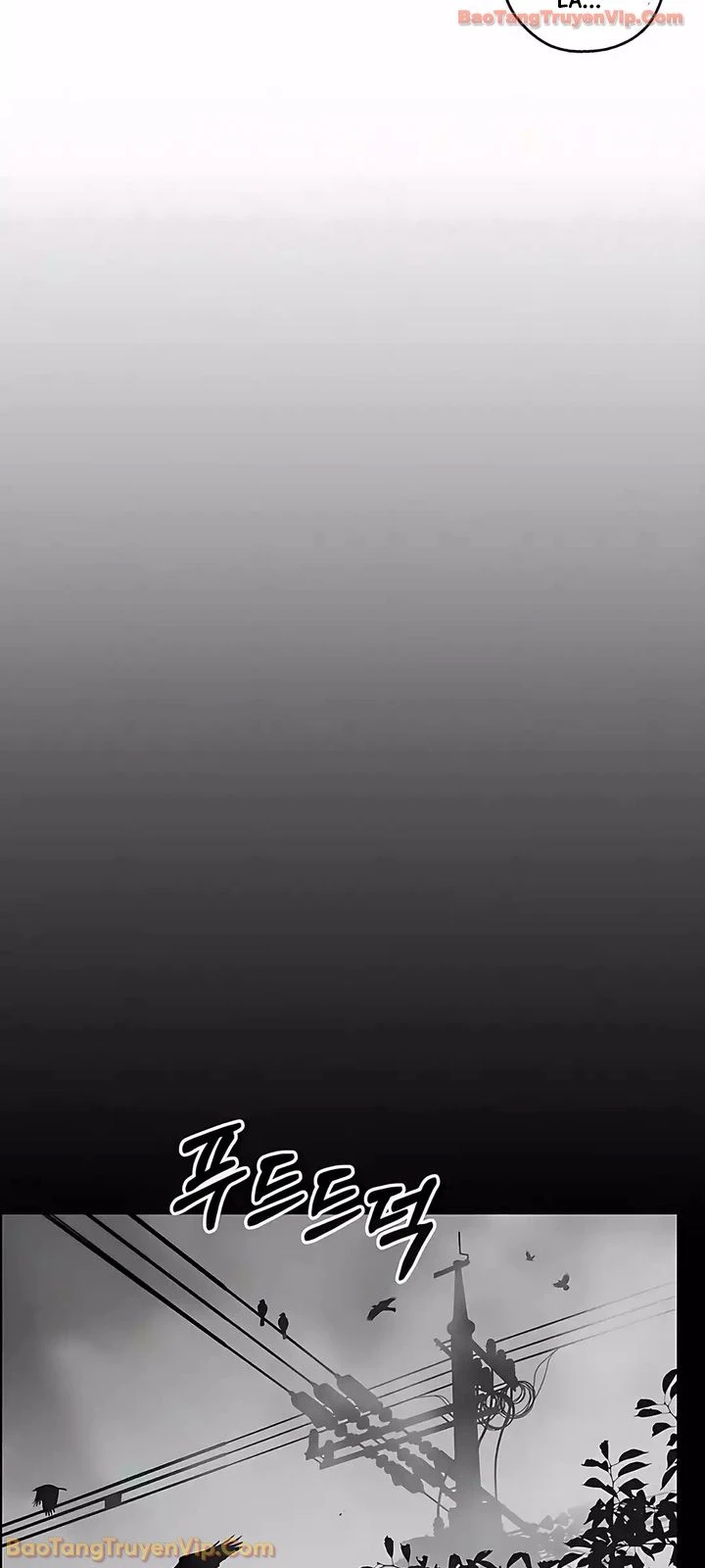 Người Đàn Ông Thực Thụ Chapter 247 - 9