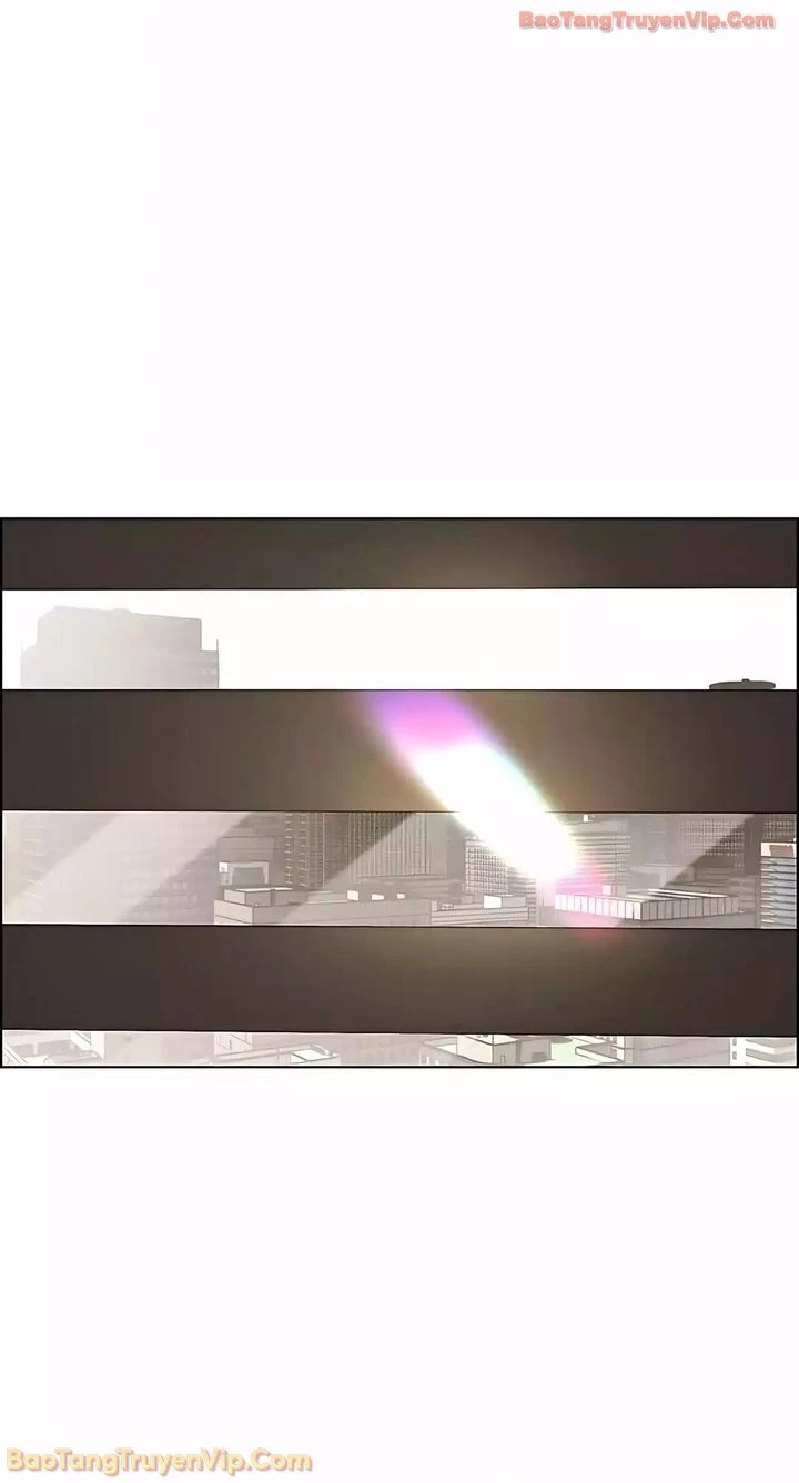 Người Đàn Ông Thực Thụ Chapter 247 - 15