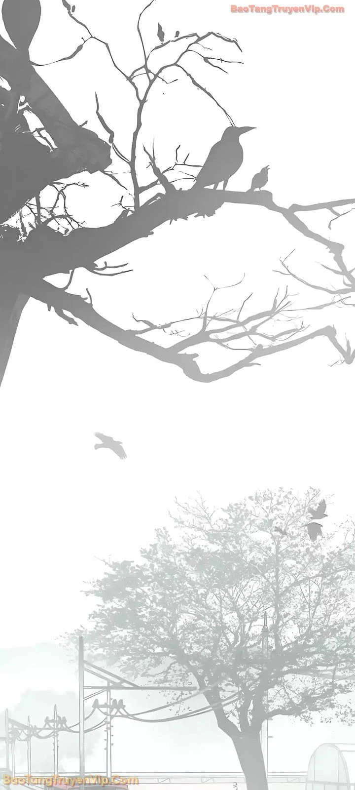 Người Đàn Ông Thực Thụ Chapter 247 - 19