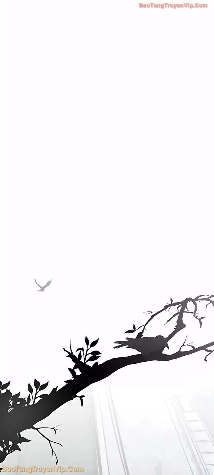 Người Đàn Ông Thực Thụ Chapter 247 - 35