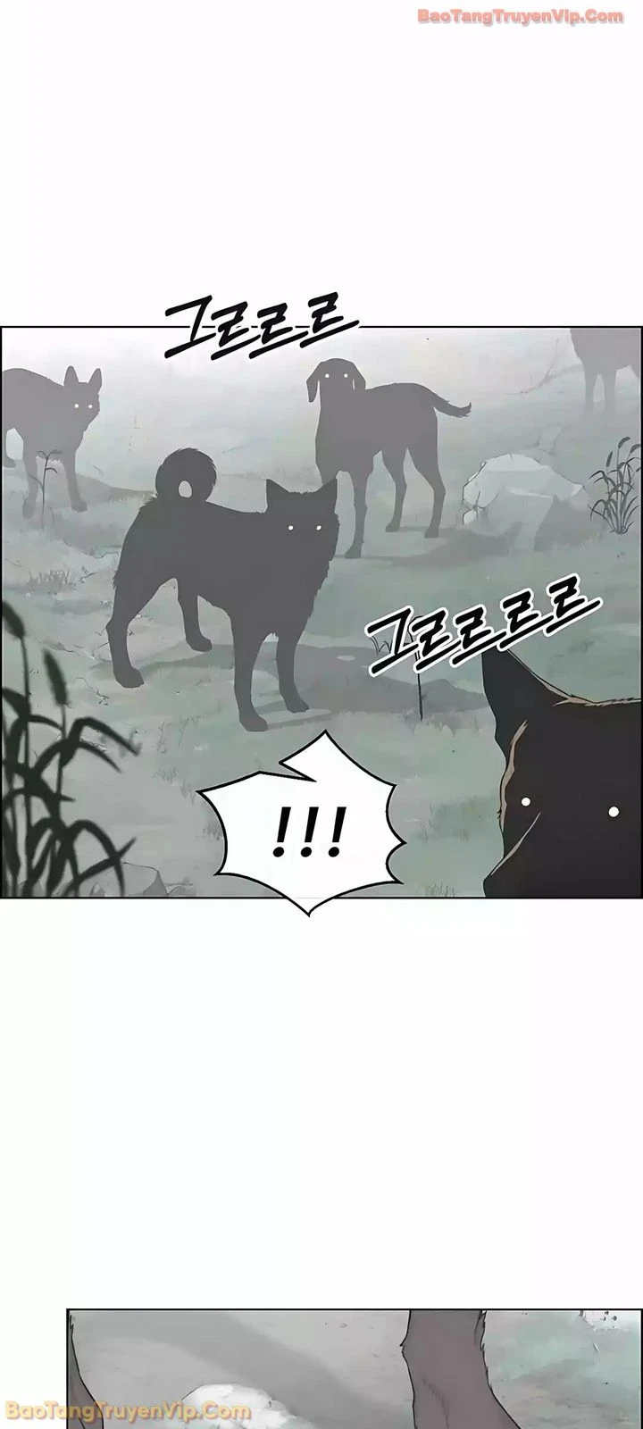 Người Đàn Ông Thực Thụ Chapter 247 - 39