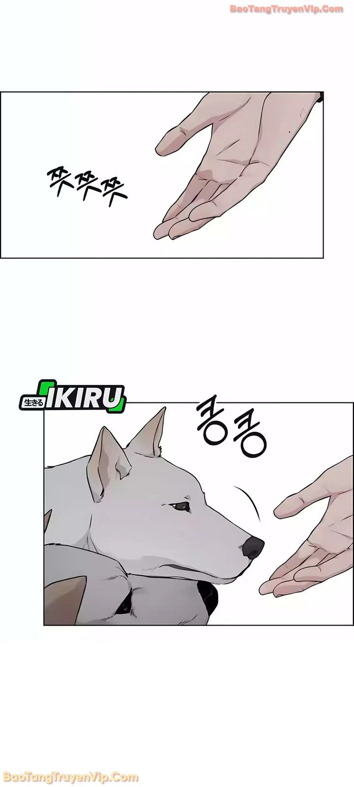 Người Đàn Ông Thực Thụ Chapter 247 - 45