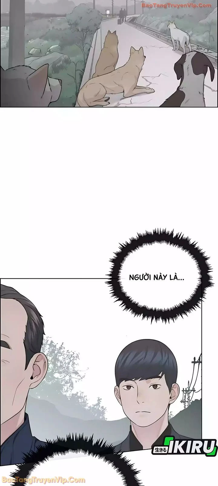 Người Đàn Ông Thực Thụ Chapter 247 - 50