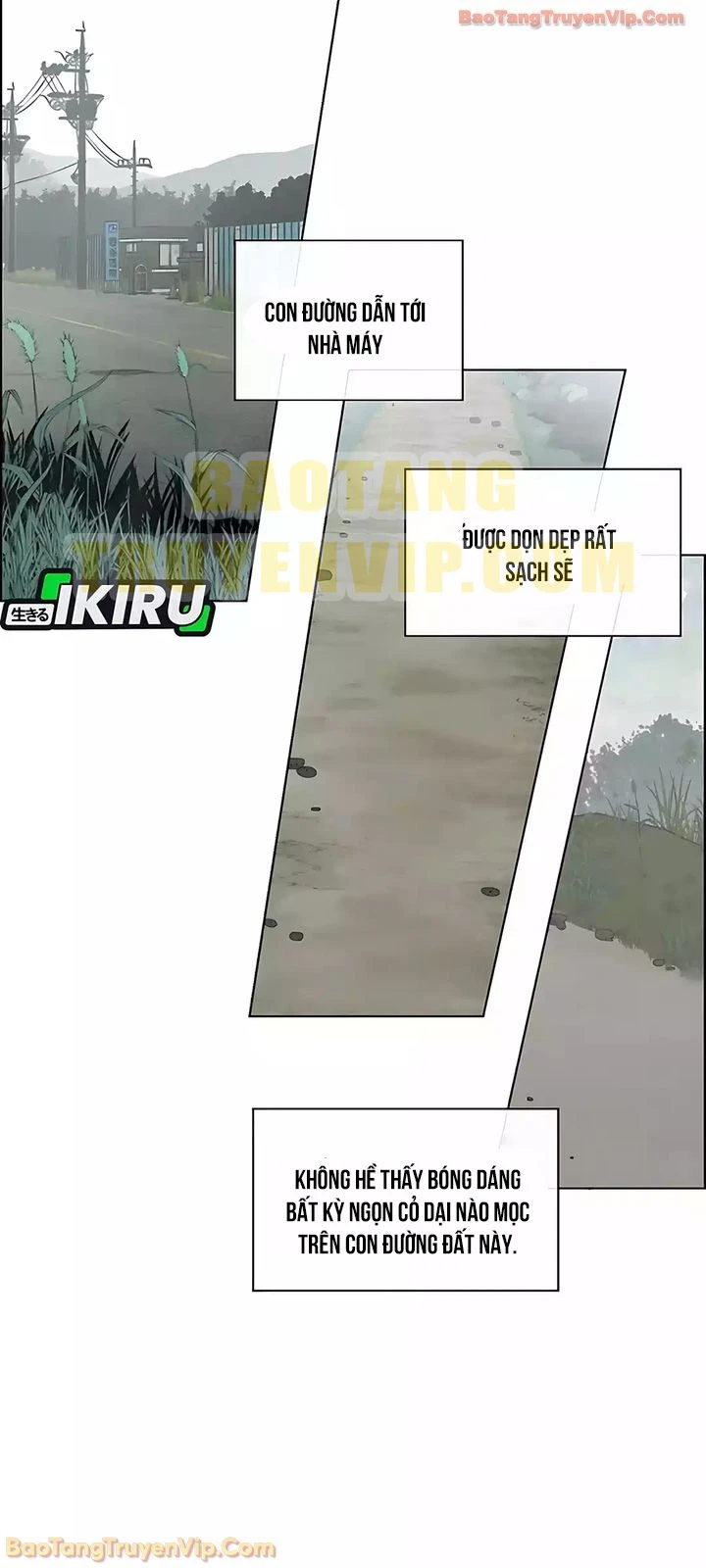 Người Đàn Ông Thực Thụ Chapter 247 - 52