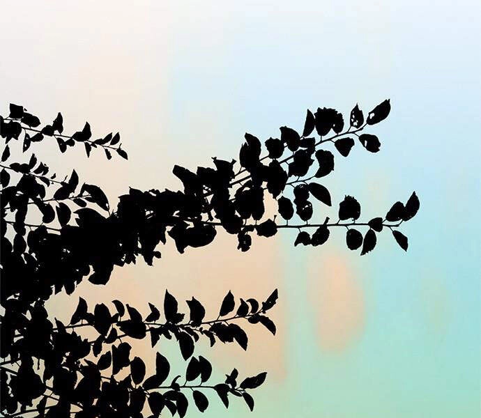 Người Đàn Ông Thực Thụ Chapter 52 - 61