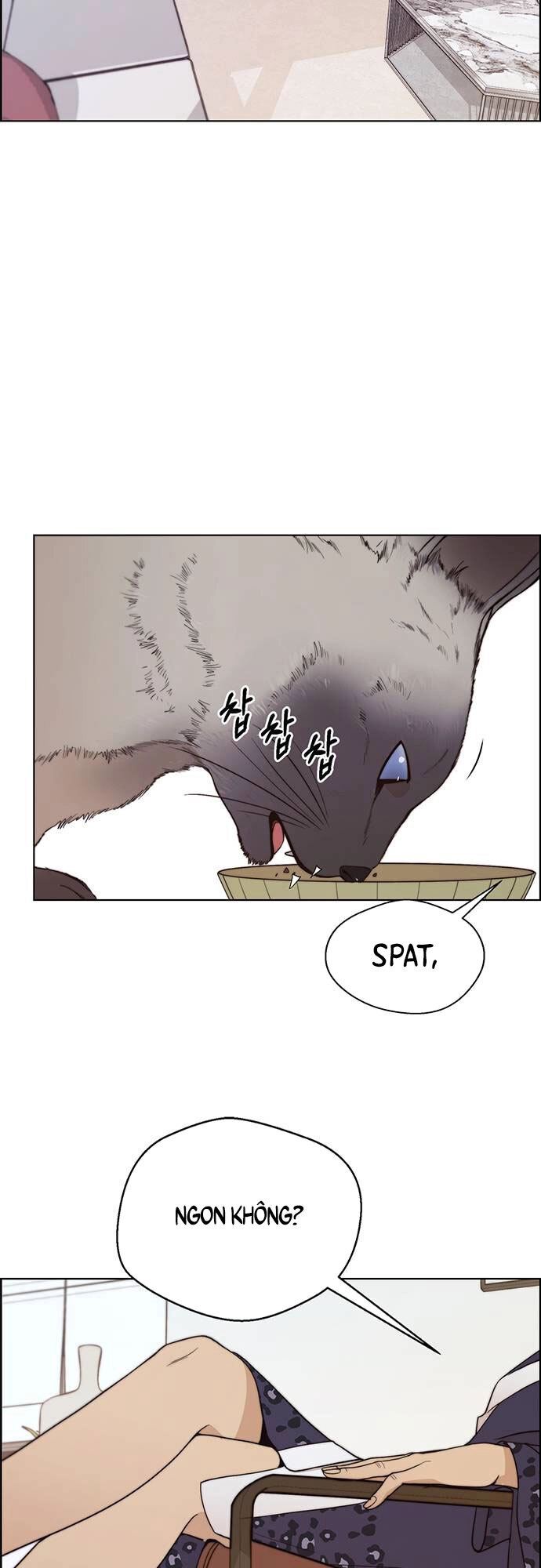 Người Đàn Ông Thực Thụ Chapter 90 - 47