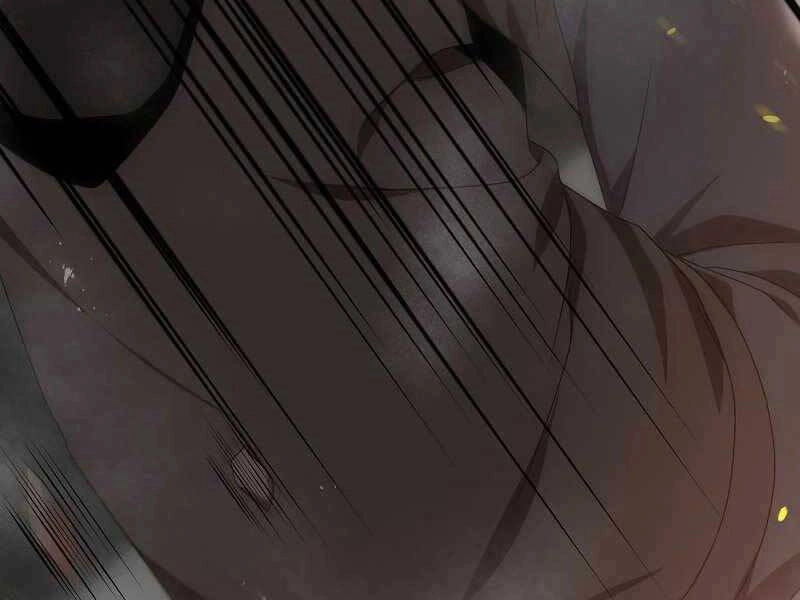 Thiên Tài Kiếm Thuật Của Gia Tộc Danh Giá Chapter 1 - 244