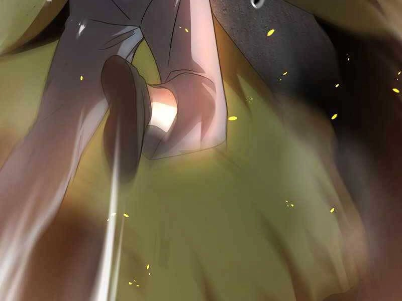 Thiên Tài Kiếm Thuật Của Gia Tộc Danh Giá Chapter 1 - 263