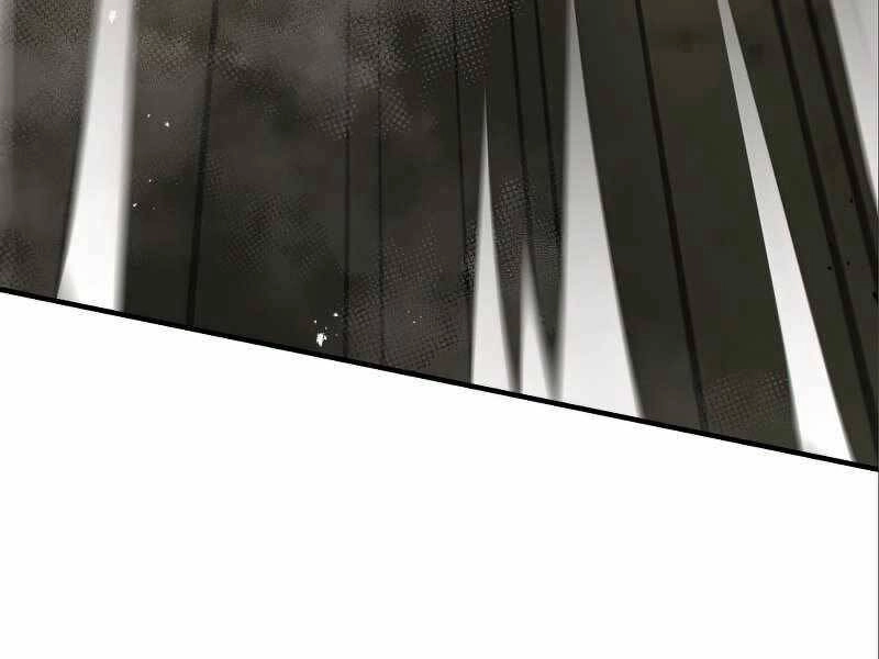 Thiên Tài Kiếm Thuật Của Gia Tộc Danh Giá Chapter 12 - 214